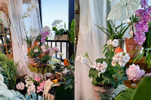 Khu vườn đẹp như chốn thần tiên do người phụ nữ dành 16 năm chăm sóc-12