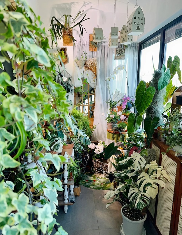 Cô gái hô biến ban công nhỏ thành khu vườn nhiệt đới-1