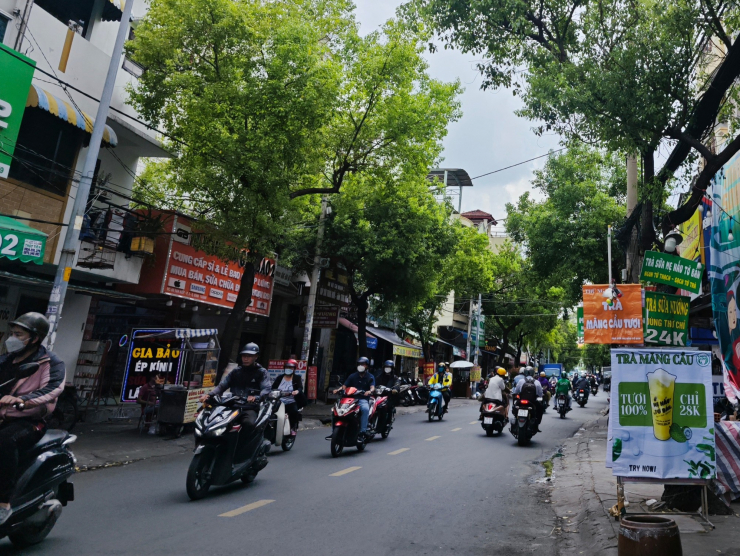 Đến lượt mãng cầu xiêm tăng giá nóng vì cơn sốt trà mãng cầu”-2