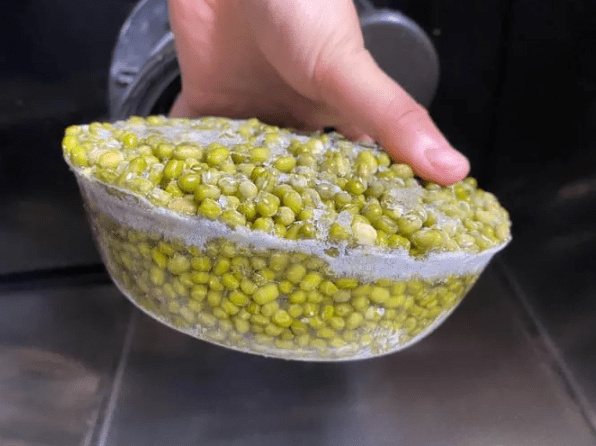 Loại hạt cực quý vào mùa hè, ăn vừa thanh nhiệt, giải độc lại phòng chống say nắng-3