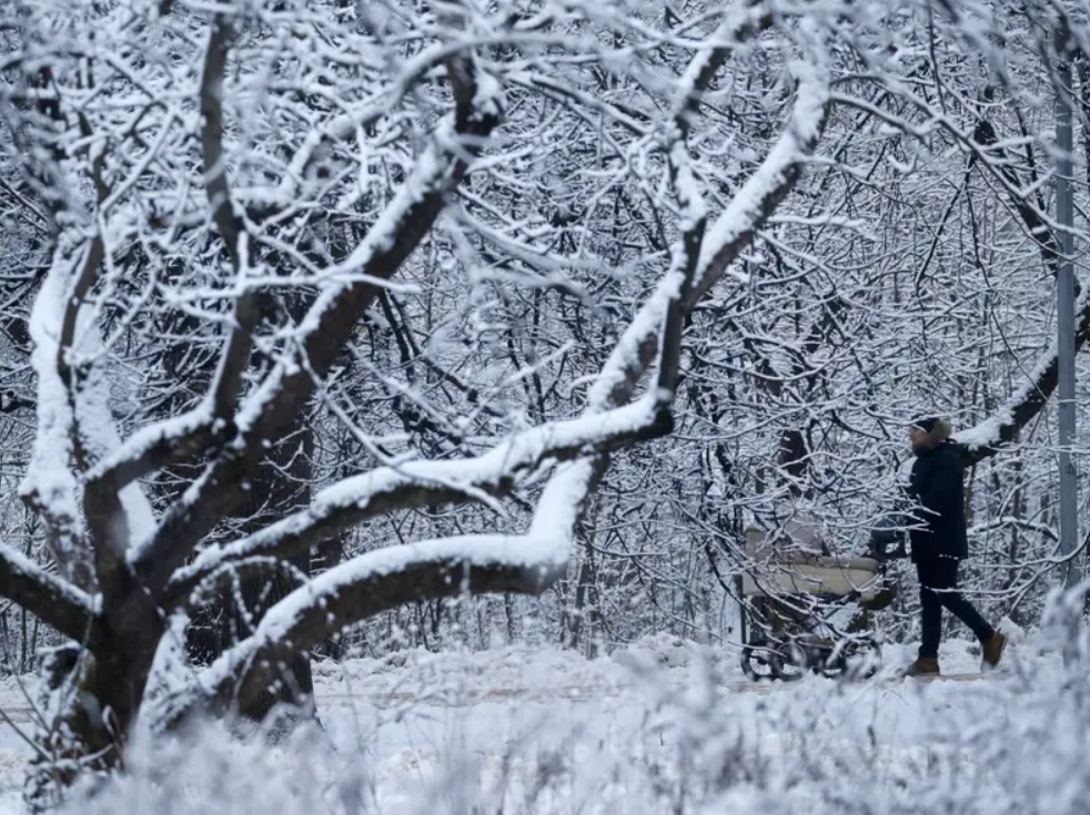 Thói quen kỳ lạ của nhiều cha mẹ Bắc Âu: Để trẻ sơ sinh ngủ ngoài trời -26 độ C-3