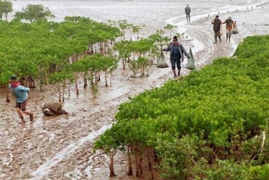 Học sinh Hà Nội tử vong khi trải nghiệm bắt ngao: Đoàn không báo cáo chính quyền