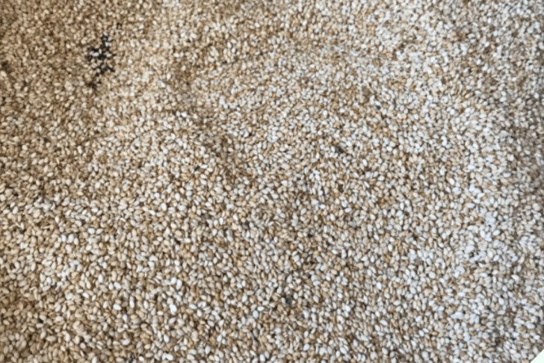 Nó là siêu thực phẩm” canxi cao hơn 7 lần sữa, ăn thường xuyên đen tóc, chân tay chắc khỏe-5