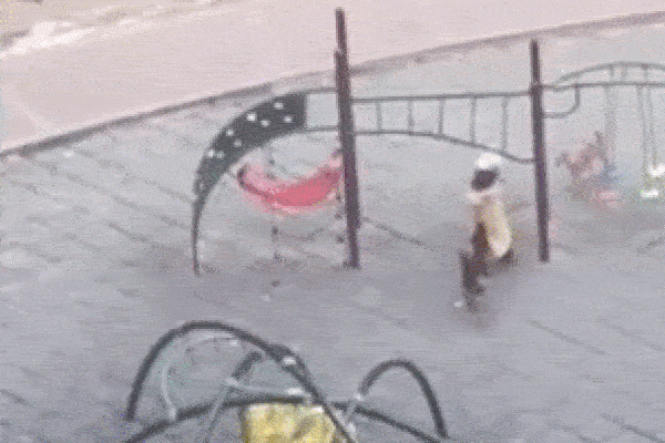 Clip: Bé gái bị chó hoang tấn công, kéo lê trên đường và cái kết-1