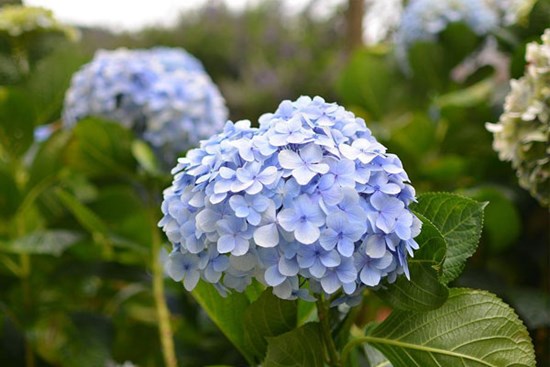 3 con giáp chậm mà chắc, không ngừng vươn lên, cuối tháng 5 có quý nhân phù trợ