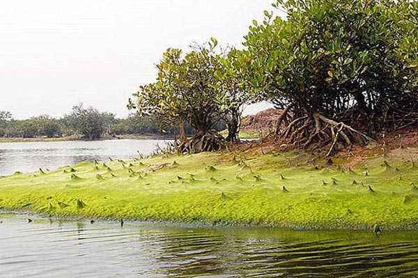 Hà Nội cấm hoạt động trải nghiệm tự phát tại trường học sau vụ học sinh tử vong-2