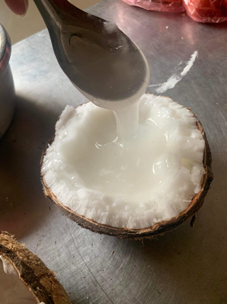 Loại dừa giá 200.000 đồng/quả vẫn cháy” hàng, dân buôn ngày bán hàng trăm quả-2