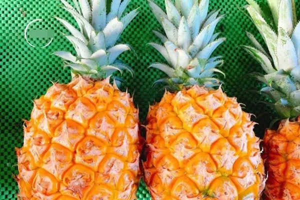 Bộ phận của trái dứa thường bỏ đi nhưng tốt cho sức khỏe-4