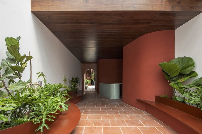 Nhà phố ở Cần Thơ gây thương nhớ chỉ dùng gạch gốm thay cho mái-13
