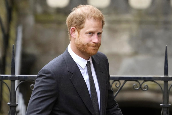 Hoàng tử Harry thua kiện cơ quan chính phủ Anh-1