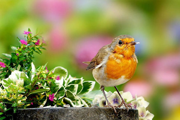 Ai sinh tháng Âm lịch này giỏi kiếm tiền, ngày càng thành công, tương lai viên mãn-1