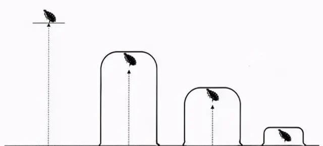 Đây là kiểu ông bố có thể giúp con cái có một tương lai hứa hẹn: Xem thử bạn có thuộc tuýp này hay không!-1