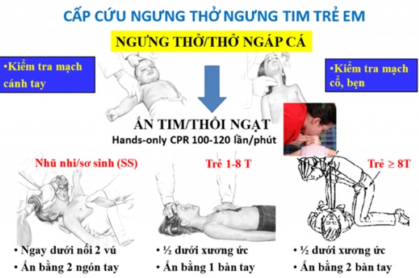Nam sinh lớp 6 tử vong khi trải nghiệm bắt ngao, bác sĩ cảnh báo gì?-2