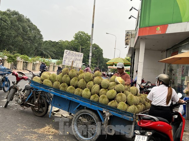 Sầu riêng hàng dạt giá rẻ đổ bộ vỉa hè TPHCM-4