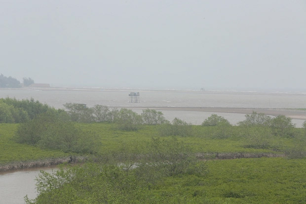 Vợ chồng chủ tàu mất ăn mất ngủ sau vụ học sinh, phụ huynh tử vong khi trải nghiệm bắt ngao-1