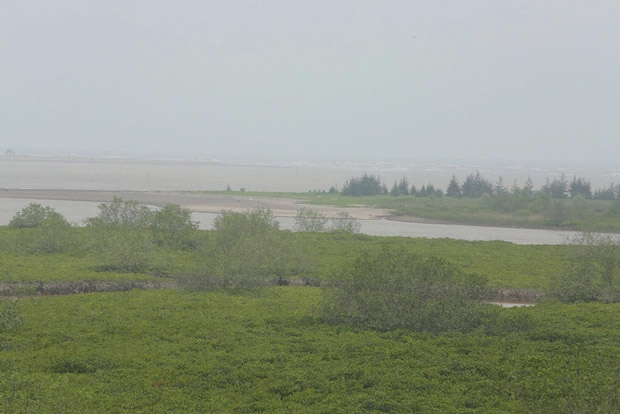 Vợ chồng chủ tàu mất ăn mất ngủ sau vụ học sinh, phụ huynh tử vong khi trải nghiệm bắt ngao-4