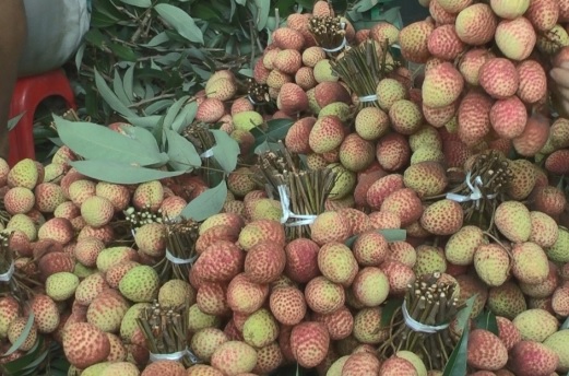 Sự thật về loại vải thiều đầu mùa được bán giá rẻ trên các tuyến phố Hà Nội?-1