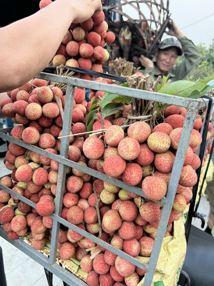 Sự thật về loại vải thiều đầu mùa được bán giá rẻ trên các tuyến phố Hà Nội?-2