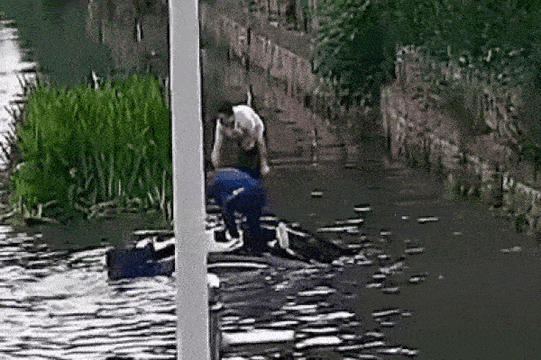 Lao xuống sông sau va chạm, nữ tài xế hốt hoảng trèo lên nóc ô tô-1