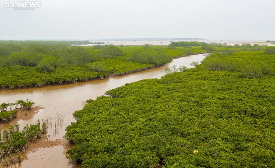 Hiện trạng bãi ngao sau vụ sụt lún khiến phụ huynh và học sinh tử vong-4