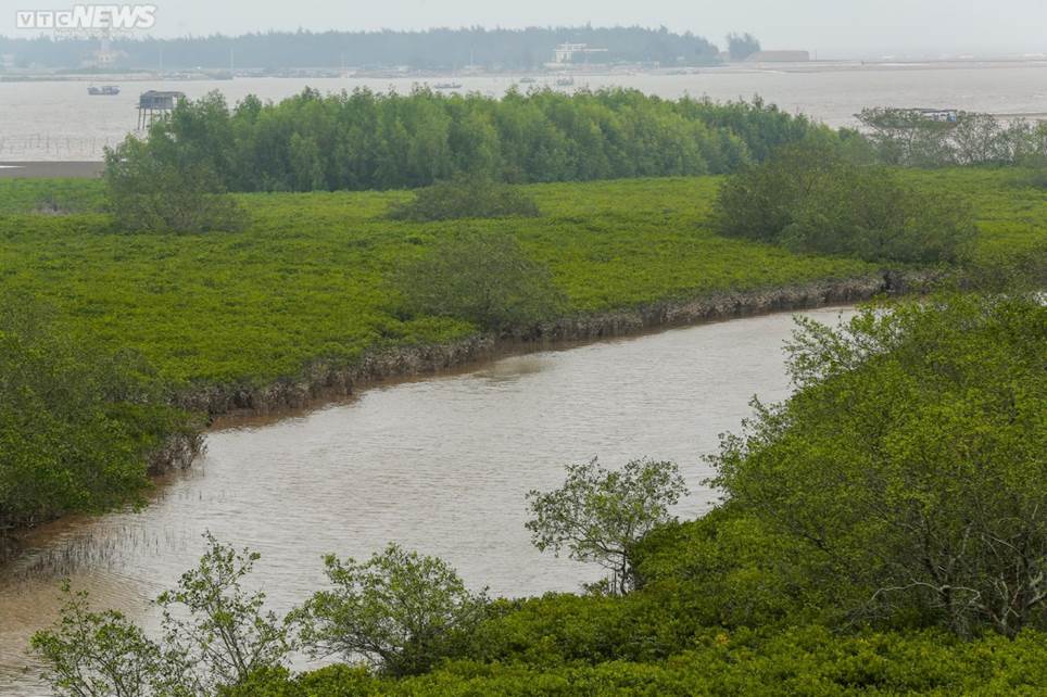 Hiện trạng bãi ngao sau vụ sụt lún khiến phụ huynh và học sinh tử vong-5