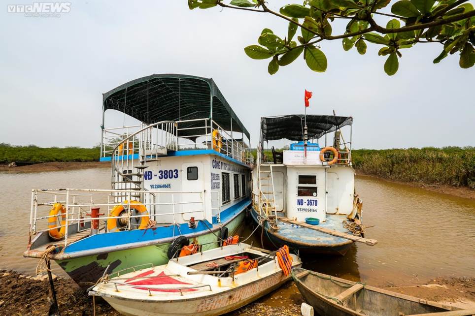 Hiện trạng bãi ngao sau vụ sụt lún khiến phụ huynh và học sinh tử vong-10