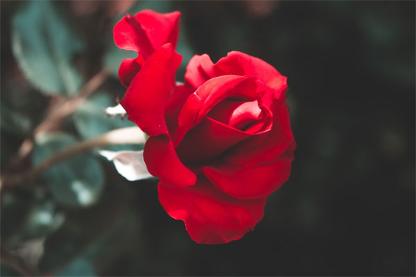 Trẻ sinh vào 3 khung giờ Âm lịch này, lớn lên phú quý đầy tay, cha mẹ được nhờ-2