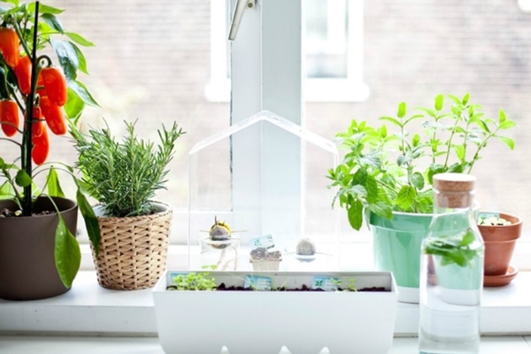 Người xưa dặn: 3 không trong bếp, gia đình đón điềm lành, kéo dài thịnh vượng, sung túc-5