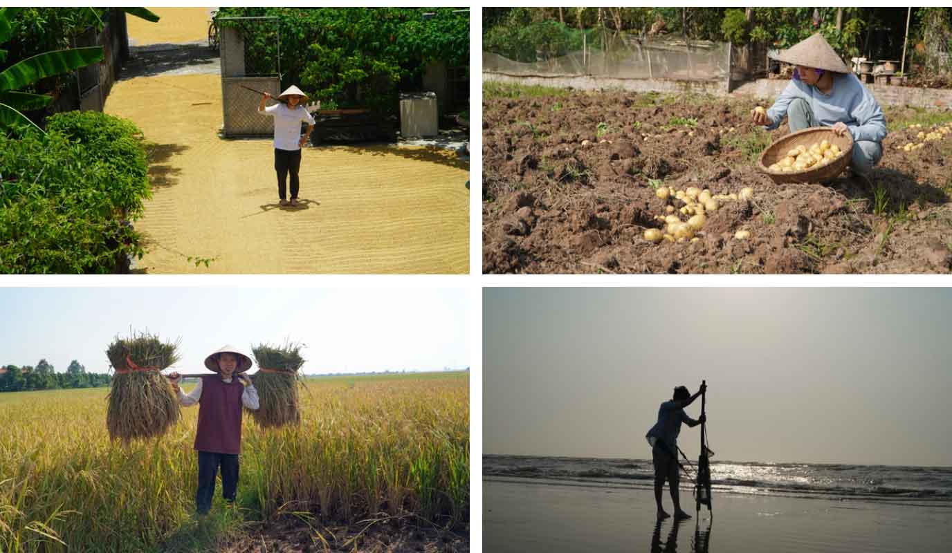 Thanh niên nhớ quay quắt vị cơm tấm, bún bò khi bỏ phố, tiết lộ 3 điều phải lường trước nếu chọn sống ở quê-5