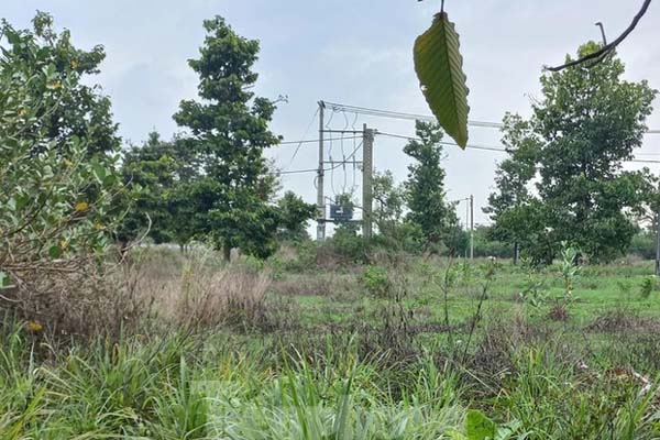 Khởi tố người mẹ đánh chết con trai 1 tuổi lúc say bia ở Bình Dương-2