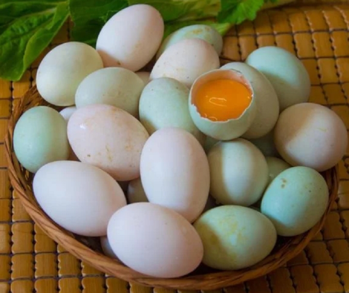 Mua trứng vịt nên chọn quả vỏ trắng hay vỏ xanh?-1