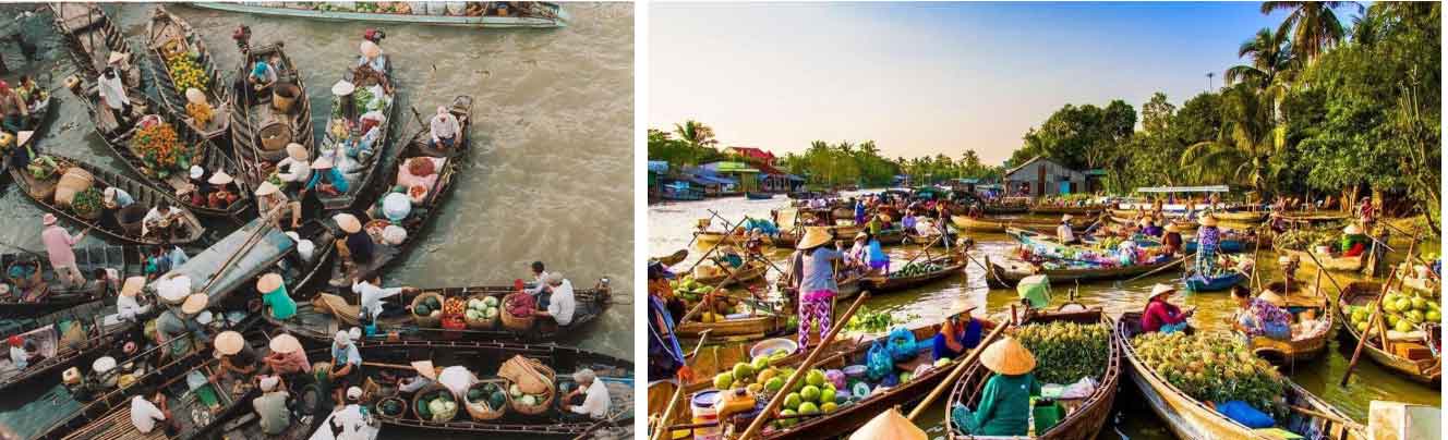 Nhiều gia đình và người nổi tiếng tới Vĩnh Long gặp Thúy Liễu, khiến du lịch địa phương thêm hot-11