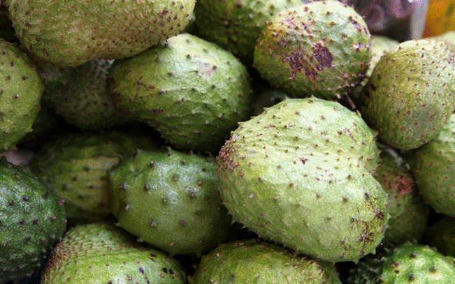 Mẹo chọn quả ngon cho món trà mãng cầu-2