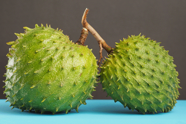 Mẹo chọn quả ngon cho món trà mãng cầu