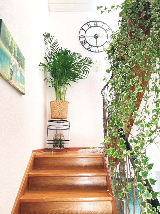 Vợ chồng Việt và khu vườn địa đàng ở Đức-9