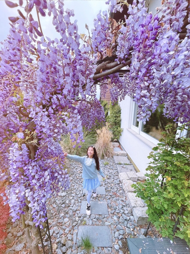 Vợ chồng Việt và khu vườn địa đàng ở Đức-10