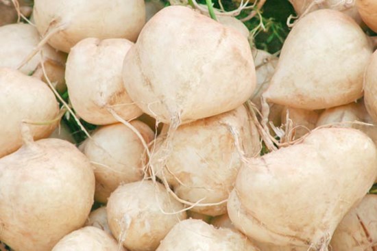 Khám phá hương vị ngọt mát của món thịt băm hấp củ đậu, ăn vừa mát vừa đẹp da