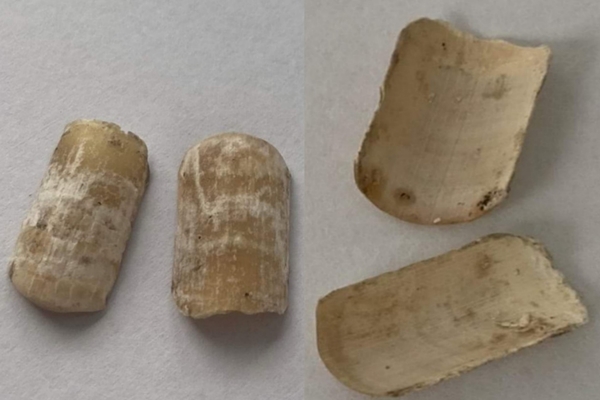 Vụ nghi án giết người phân xác: Tình tiết mới đầy bất ngờ-2