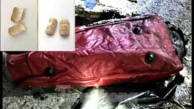 Vụ nghi án giết người phân xác: Tình tiết mới đầy bất ngờ-1