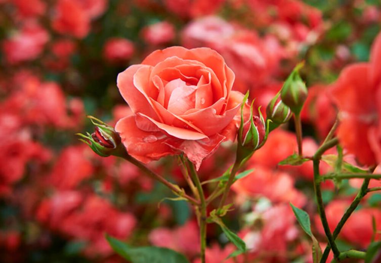 Từ tháng 4 Âm lịch, 3 con giáp ham học hỏi, quý nhân nâng đỡ, đột phá kinh doanh, thu lợi nhuận lớn-1