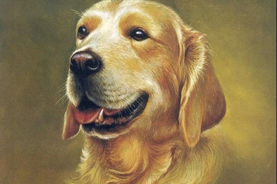 Đúng 1/6 dương lịch: 3 con giáp là chuột sa chĩnh gạo, làm ăn phát đạt, đếm tiền mỏi tay