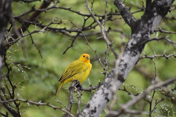 Nửa cuối năm 2023, 4 con giáp xoay chuyển tình thế, giàu lên bất ngờ, tài sản rủng rỉnh-3