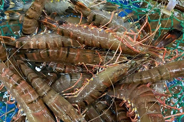 Giá hải sản tăng chóng mặt, thực phẩm giải nhiệt đắt khách-1