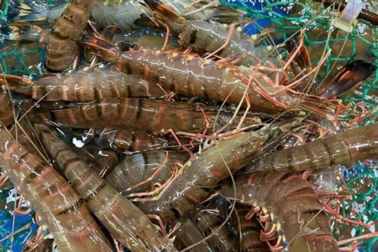Giá hải sản tăng chóng mặt, thực phẩm giải nhiệt đắt khách