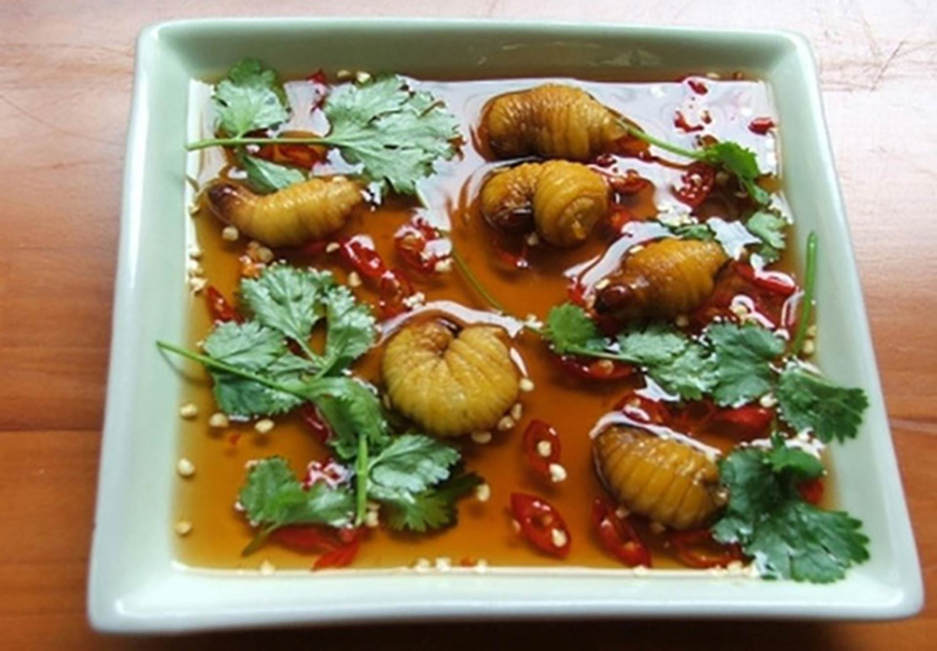 Những loại sâu bọ độc nhất vô nhị đắt đỏ, thực khách săn lùng-1