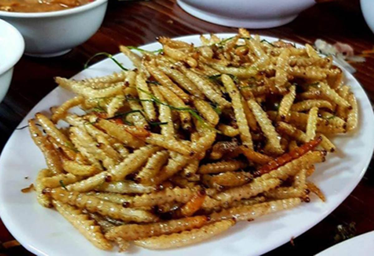 Những loại sâu bọ độc nhất vô nhị đắt đỏ, thực khách săn lùng-3