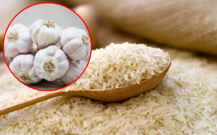 Vùi tỏi vào thùng gạo có lợi ích gì?-1
