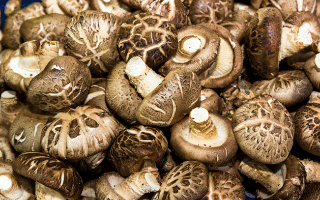 3 mẹo chọn nấm đông cô tươi ngon-1