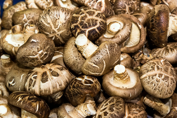 3 mẹo chọn nấm đông cô tươi ngon