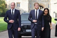 Câu nói khiến Harry phải trả giá
